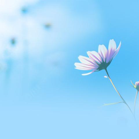 预防溺水 珍爱生命 平塘县平湖第一小学防溺水致家长一封信