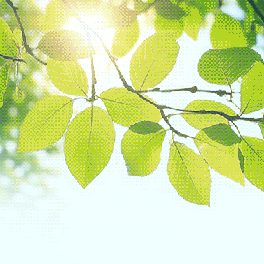 西安航空学院幼儿园清明节放假通知及温馨提示