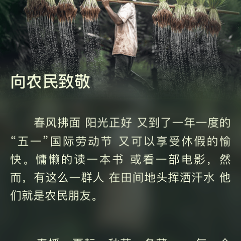 追忆激情燃烧的岁月--知青重返第二故乡