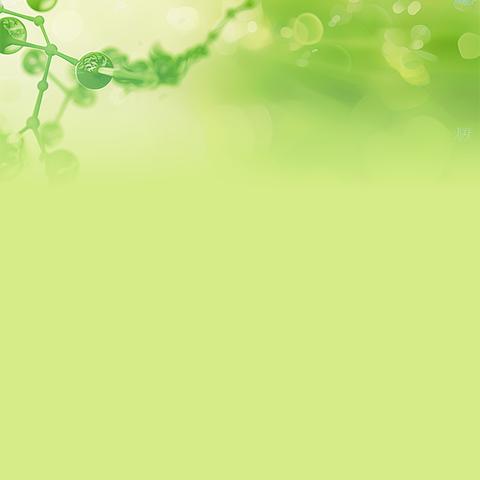 青春力量“分”出绿色未来——垃圾分类助力“双碳”落地