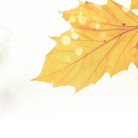 追逐光，成为光，散发光 ----广东省高中历史骨干教师高考备考能力提升培训纪实