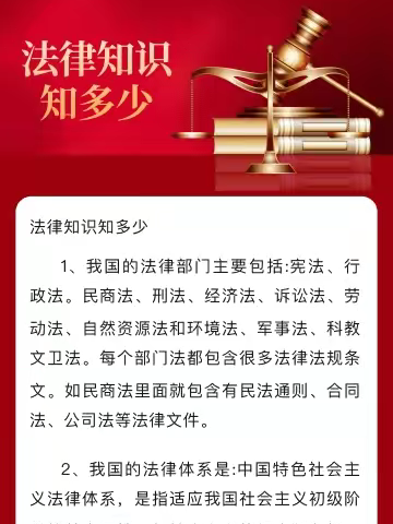 汶上县南旺镇柳林小学法治报告会