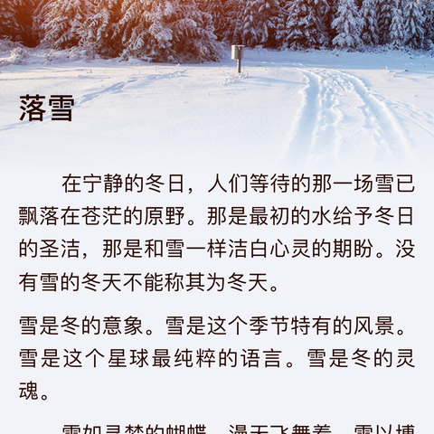 【情系民生】迅速行动以雪为令 关爱居民保障出行