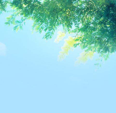 爸，我们天上见