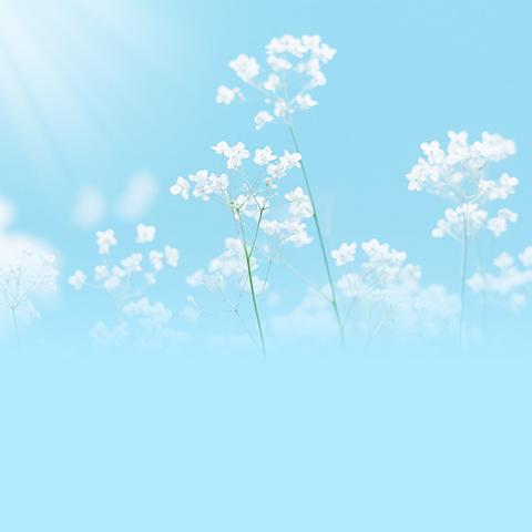 我为有这样的XX感到——