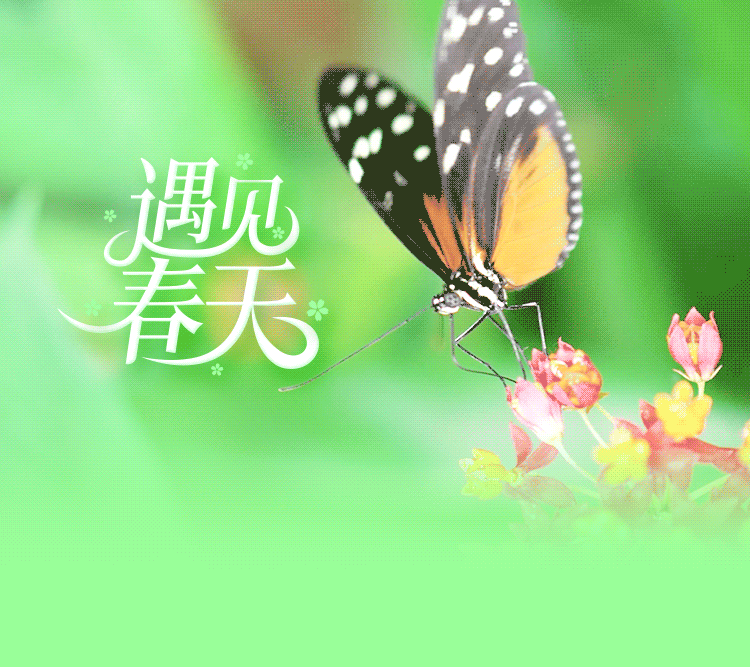 以“电视”为话题