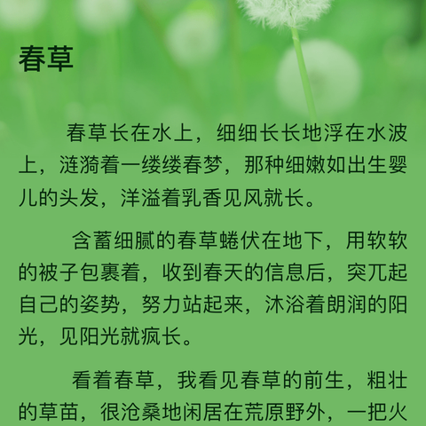 春天出游—茶园研学