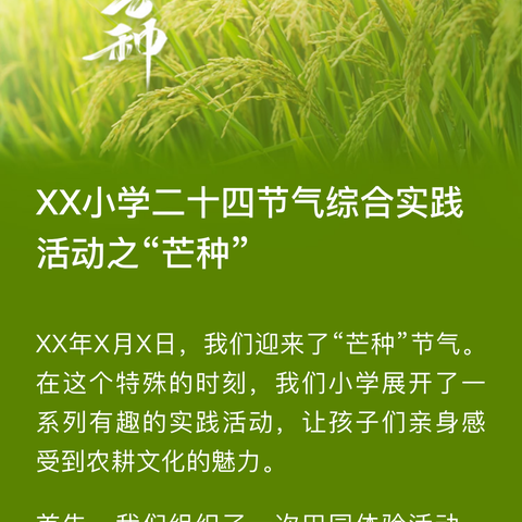 小麦播种要注意