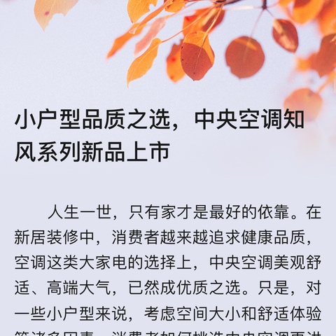 风好帆悬恰如期，深度教研不负秋——西安外国语学校第二小学部语文低段组教学研讨活动