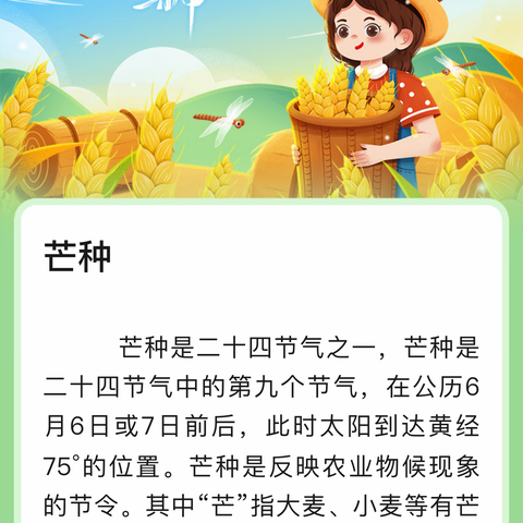 芒种至 盛夏始——光彩学前教育集团苏新幼儿园24节气之芒种篇