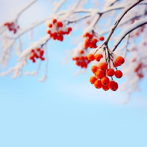 马村乡多措并举应对暴雪寒潮极端天气