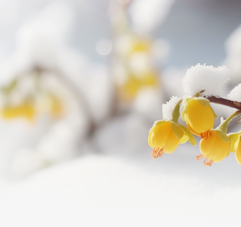 冰雪进校园活动